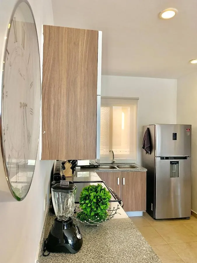 Sleeps 4-6-Amazing 2 Bedroom Ph With Bbq Jacuzzi Tulum